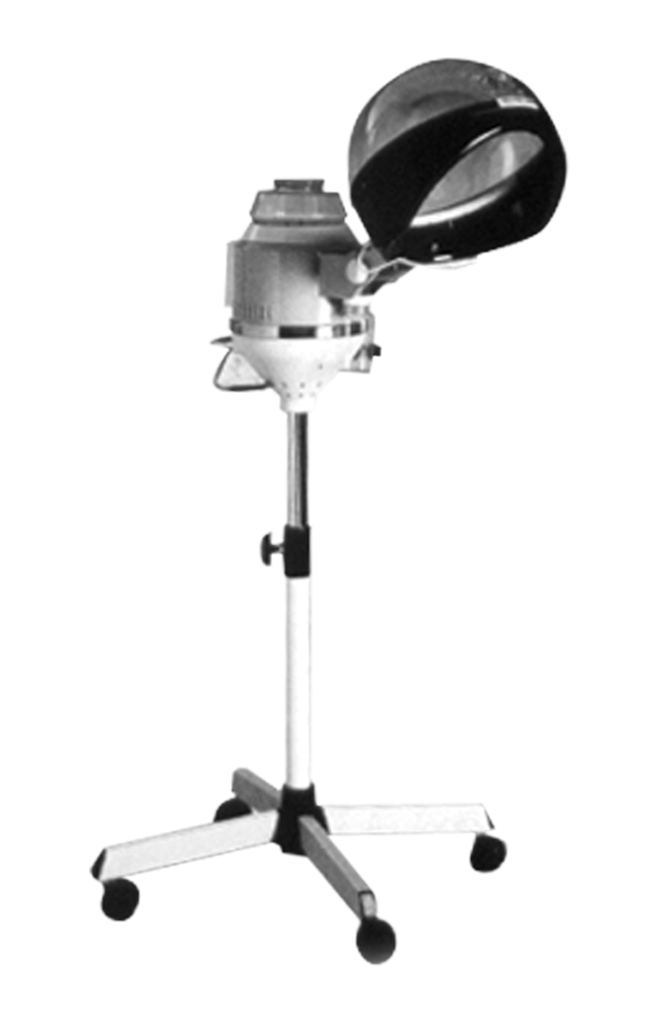 Mobile Hair Steamer